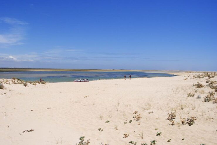 From Faro: 2-Hour Guided Bird Watching Boat Trip - Experience Highlights