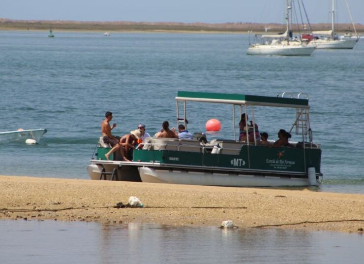 From Faro: 2-Island, 2-Stop Ria Formosa Catamaran Tour - Tour Highlights