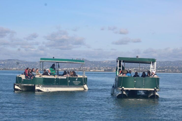 From Faro: 4 Stops, 3 Islands in Ria Formosa Catamaran Tour - Activity Details and Information