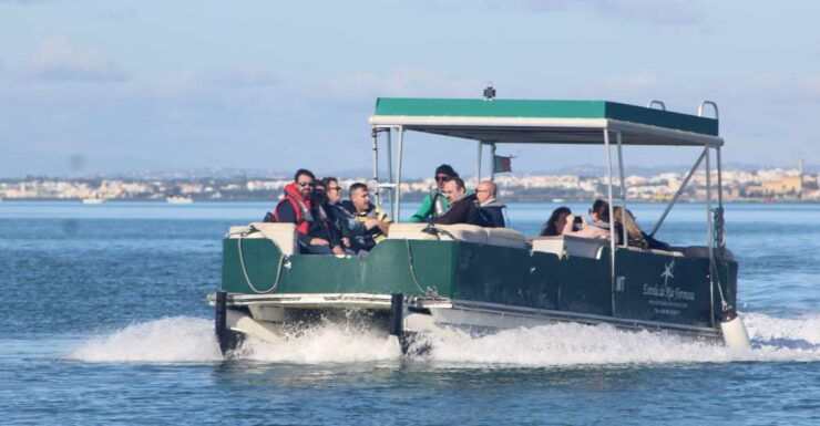 From Faro: 4 Stops, 3 Islands in Ria Formosa Catamaran Tour - Experience Highlights