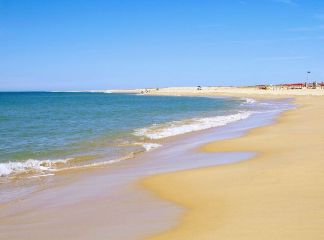 From Faro: 4 Stops, 3 Islands in Ria Formosa Catamaran Tour - Common Questions