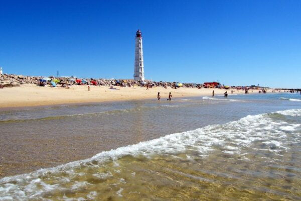 From Faro: 4 Stops, 3 Islands in Ria Formosa Catamaran Tour - The Sum Up