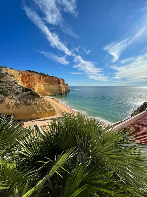 From Faro: Benagil, Algar Seco, and Marinha Adventure Tour - Authentic Traveler Insights from Reviews