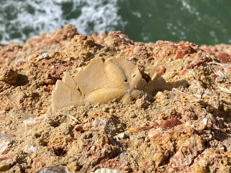 From Faro: Benagil Cave and Seven Hanging Valleys Trail Tour - FAQ