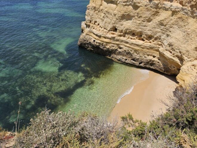 From Faro: Benagil Cave, Marinha Beach, Algar Seco & More - Customer Testimonials
