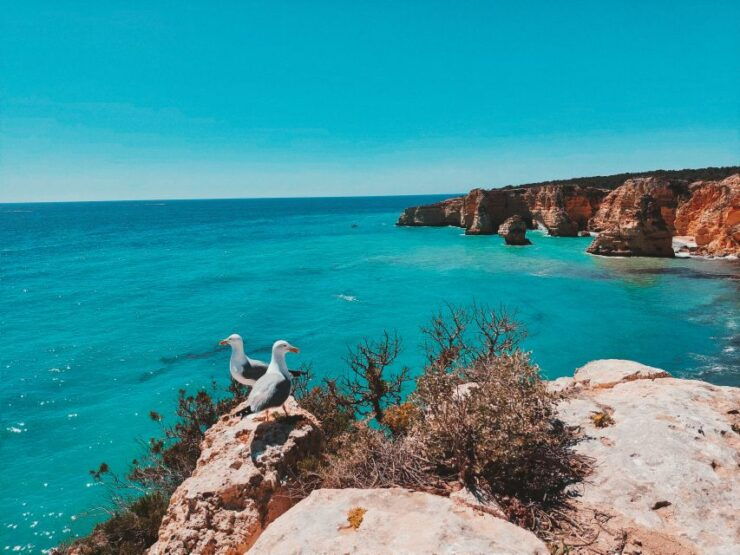 From Faro: Benagil Cave, Marinha, & Carvoeiro Full-Day Tour - Tour Details