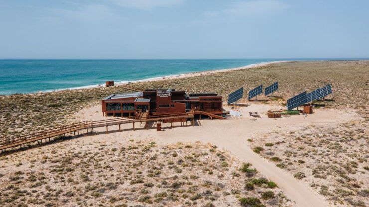From Faro: Catamaran Boat Trip to Deserta Island With Stop - Ticket Details