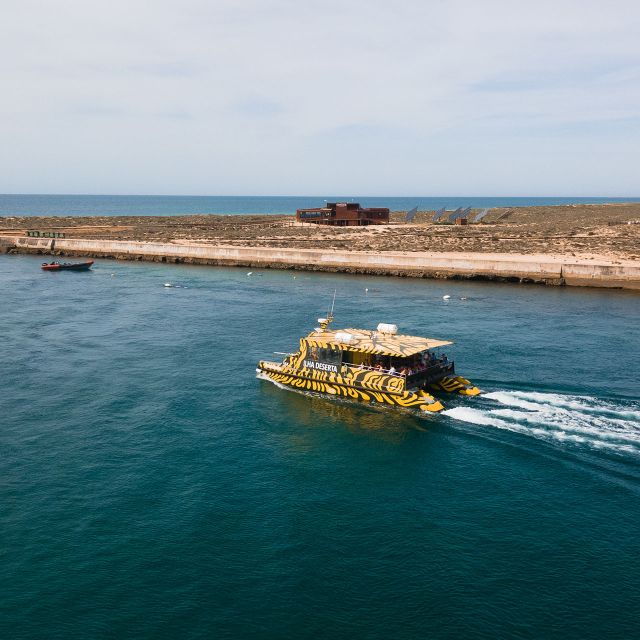 From Faro: Catamaran Boat Trip to Deserta Island With Stop - Highlights
