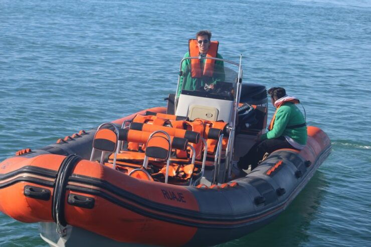 From Faro: Dolphin Watching & 2 Islands Tour - Tour Highlights