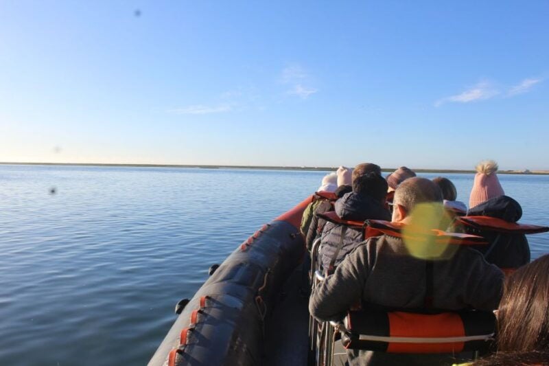 From Faro: Dolphin-Watching & Wildlife - The Itinerary Breakdown