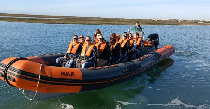 From Faro: Dolphin-Watching & Wildlife - The Sum Up: Who Should Consider This Tour?