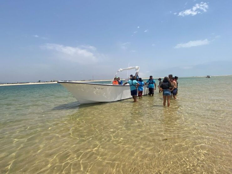 From Faro: Island Tour by Boat - Booking Details