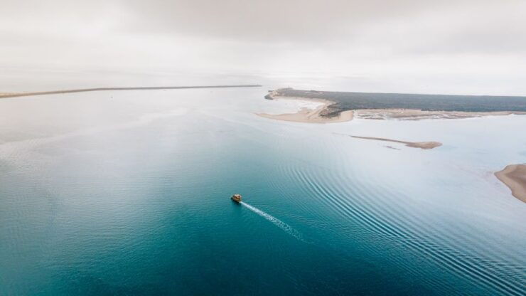 From Faro: Ria Formosa Eco Tour Guided by Marine Biologist - Eco Tour Overview