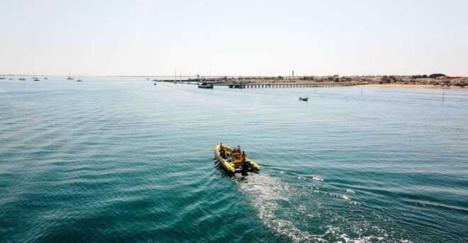 From Faro: Ria Formosa Hop-On Hop-Off Island Cruise - Detailed Description of the Tour
