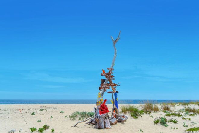 From Faro: Ria Formosa Hop-On Hop-Off Island Cruise - Review Summary