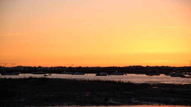 From Faro: Ria Formosa Sunset Boat Trip - What Makes This Tour Unique