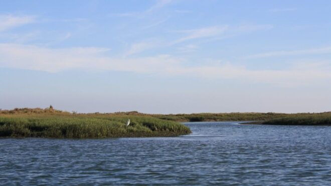From Faro: Ria Formosa Sunset Boat Trip - Customer Reviews