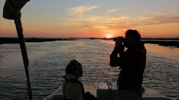 From Faro: Ria Formosa Sunset Boat Trip - The Sum Up