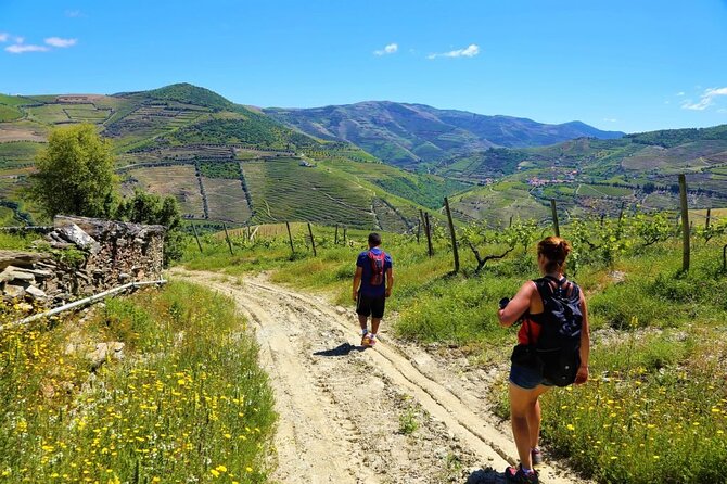 From Favaios to Pinhão Walking Tour - Meeting Point and End Location