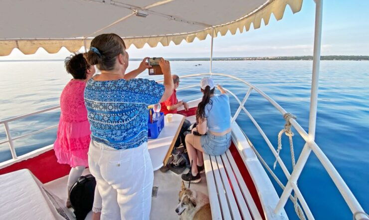 From Fažana: Dolphin Sunset Cruise to Brijuni National Park - Booking Information
