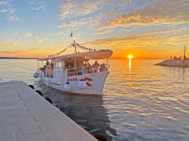 From Fažana: Dolphin Sunset Cruise to Brijuni National Park - Experience Description