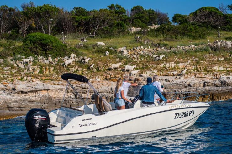 From FažAna: Private Boat Tour of Brijuni Islands - Activity Details