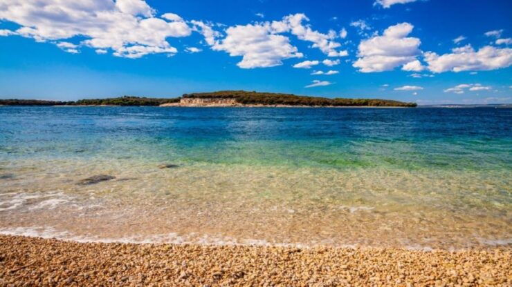 From FažAna: Private Boat Tour of Brijuni Islands - Experience Highlights