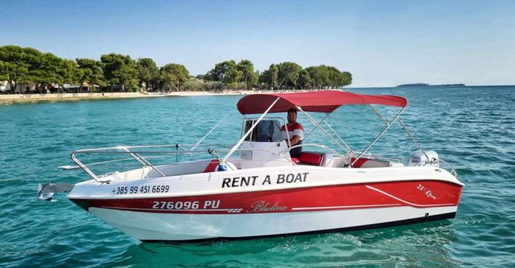 From Fazana: Private Sunset Dolphin Tour - Full Tour Description