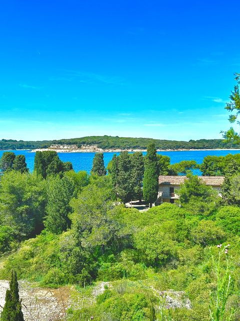From Fazana: Private Taxi to Island Sv. Jerolim - Good To Know