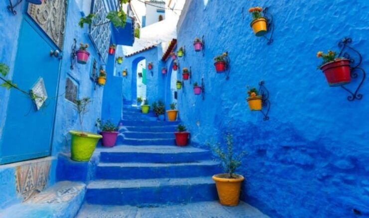 From Fes: 1-Way Private Transfer to Chefchaouen - Experience Highlights