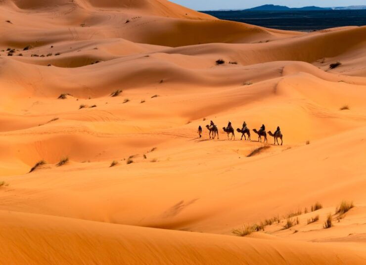 From Fes: 2 Days Desert Trip - Good To Know