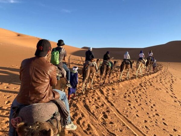 From Fes: 3-Day Unforgettable Desert Tour to Marrakech - Included Services