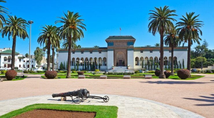 From Fes: Imperial Cities Highlights and 8-Day Sahara Trip - Tour Experience Feedback and Suggestions