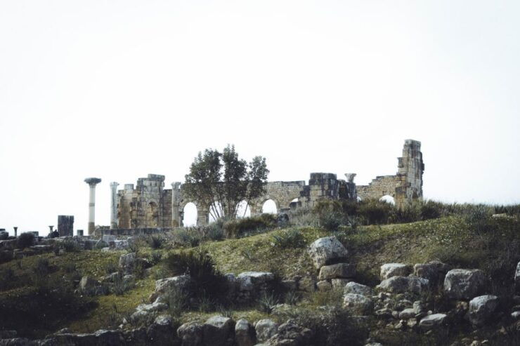 From Fes: Volubilis, Moulay Idriss and Meknes Full-Day Trip - Booking Details