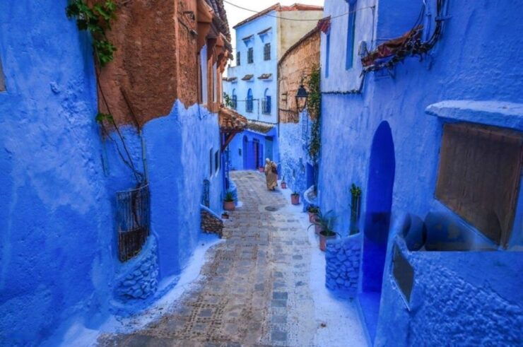 From Fes:Day Trip From Fez to Chefchaouen With a Local Guide - Tour Guide and Accessibility