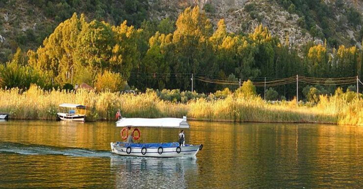 From Fethiye: Dalyan Day Trip With Mud Bath and Turtle Beach - Experience Highlights