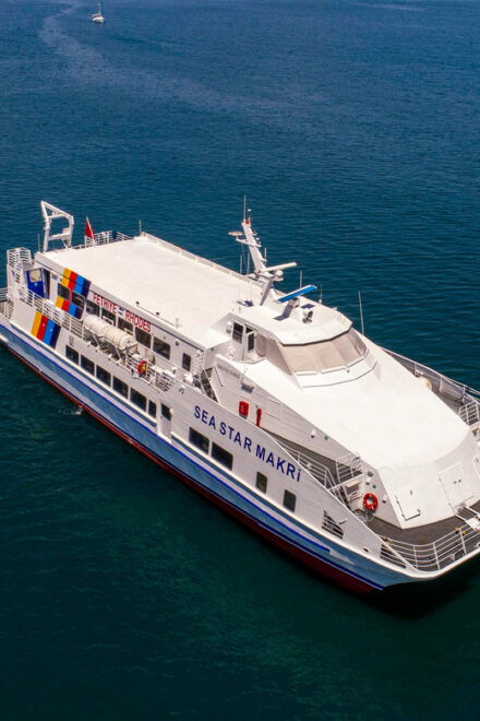 From Fethiye: Ferry Transfer to Rhodes - Customer Reviews and Ratings