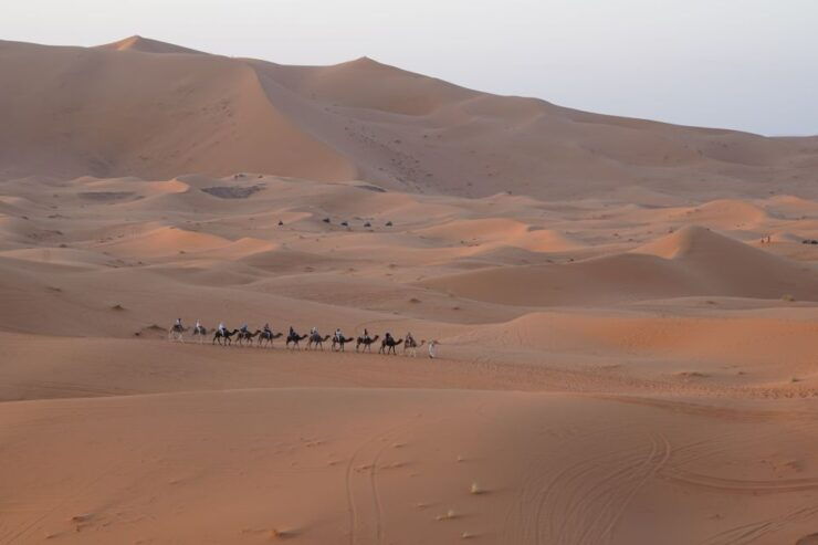 From Fez: 2-Day Trip to Merzouga With Luxury Desert Camp - Activity Details