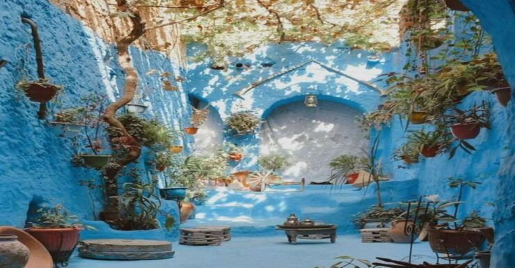 From Fez: Chefchaouen Guided Day Tour - Full Description