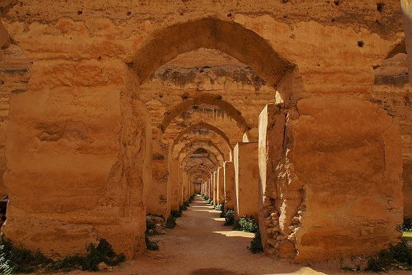 From Fez: Meknes, Volubilis and Moulay Idriss Day Trip - Tour Inclusions