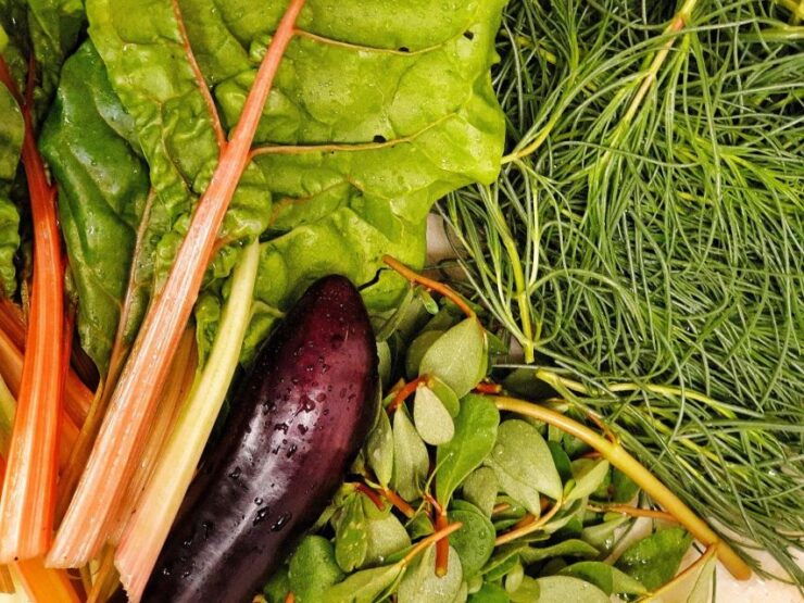 From Field to Table: Harvest and Creative Cuisine - Harvesting Fresh Ingredients From the Garden