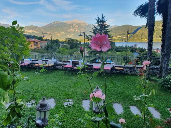 From Field to Table: Harvest and Creative Cuisine - Seasonal Menus and Culinary Creativity