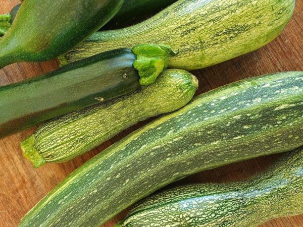 From Field to Table: Harvest and Creative Cuisine - Booking Information and Additional Details