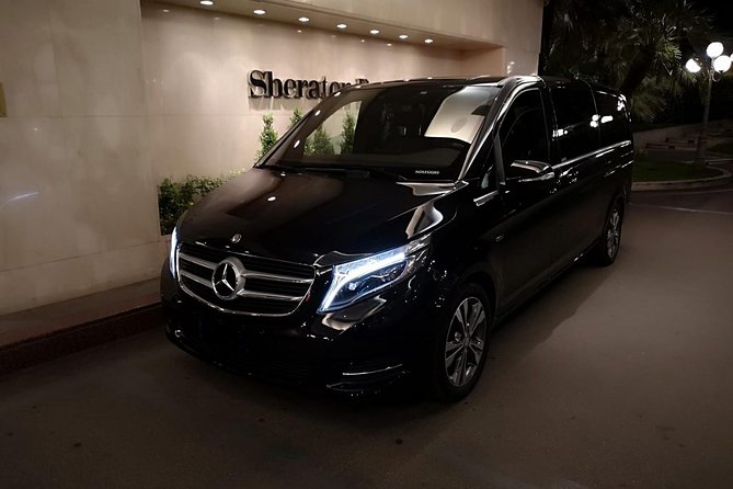 From Fiumicino to Rome Transfer - Service Details