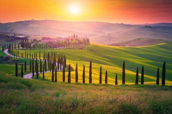 From Florence: Best of Tuscany Small Group Sunrise Tour - Photography Opportunities