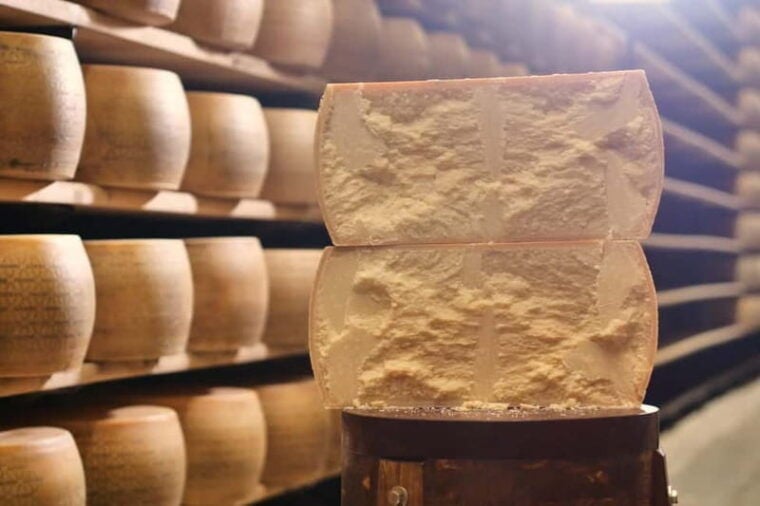 From Florence: Bologna Culinary Day Trip with Local Tastings - The Long Day: Is It Worth It?