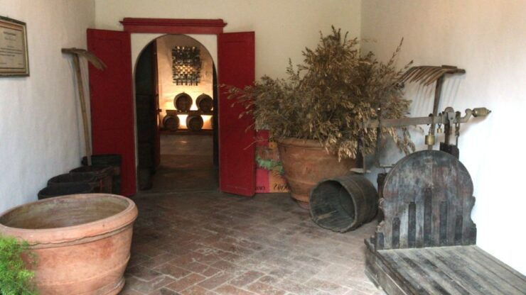 From Florence: Carmignano Half-Day Wine and Food Tour - Tour Details