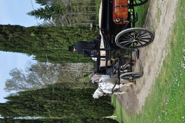From Florence: Carriage Ride in Chianti Hills With Lunch - Good To Know