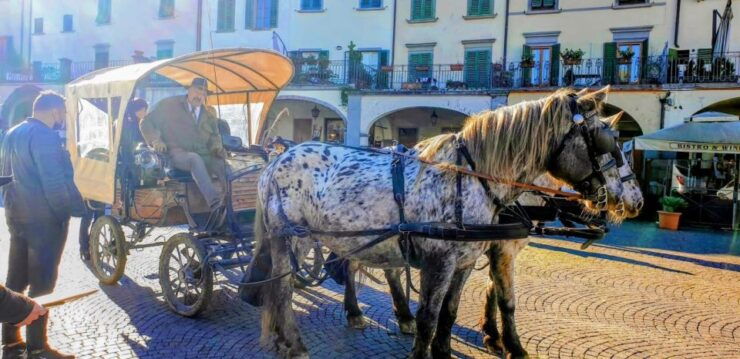 From Florence: Carriage Ride in Chianti Hills With Lunch - Activity Overview