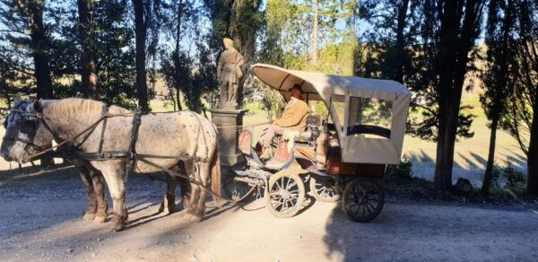 From Florence: Carriage Ride in Chianti Hills With Lunch - Inclusions in the Package